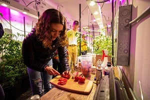 grow pod student harvesting
