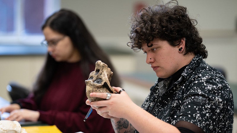 student examines bones in anthropology class