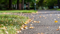 sidewalk path through campus